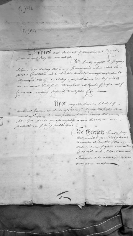 Memorial petitioning an august body to consider a proposed scheme for constitutional reform